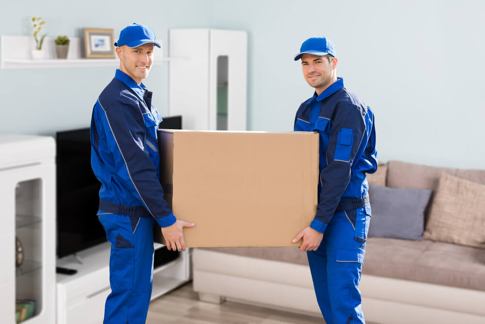Stress-Free Relocations with New Jersey Movers